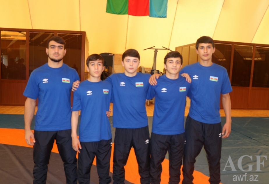 Azərbaycanın iki sərbəst güləşçisi Avropa çempionatının finalına yüksəlib