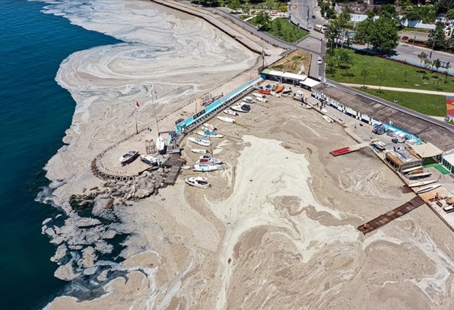 Türkiyədə ən böyük dəniztəmizləmə səfərbərliyi davam edir