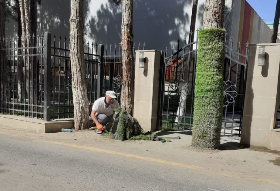 Ağacların gövdəsi süni örtükdən təmizlənib