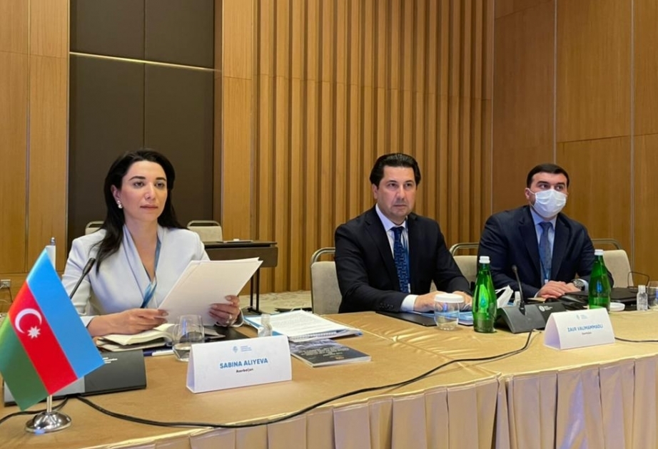 Azərbaycan ombudsmanı Özbəkistanda İqtisadi Əməkdaşlıq Təşkilatının təşkil etdiyi tədbirdə çıxış edib