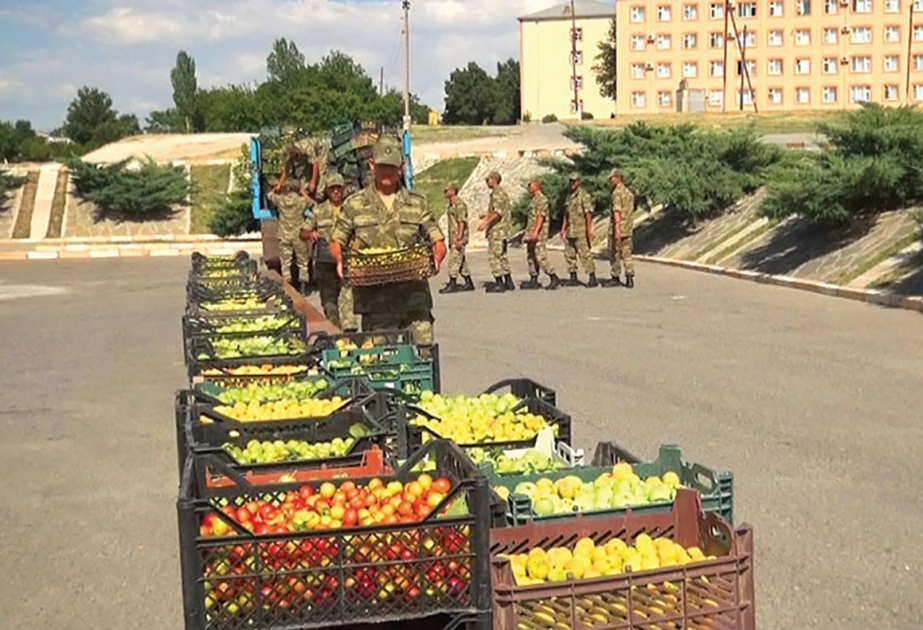 Şərur rayonunda hərbi hissələrə sovqat aparılıb