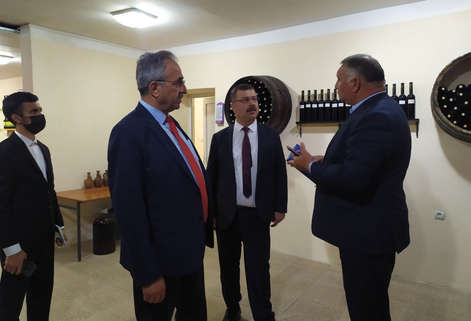 Üzümçülük və Şərabçılıq Elmi-Tədqiqat İnstitutu beynəlxalq əməkdaşlığı genişləndirir