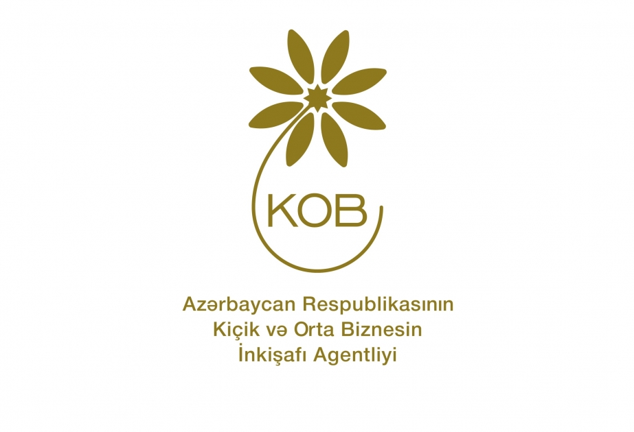 Qarabağda ictimai infrastrukturun yenidən qurulmasında dövlət-özəl sektor tərəfdaşlığı modelindən istifadə oluna bilər