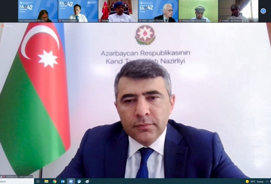Azerbaiyán está dispuesto a cooperar con la FAO en la realización del proyecto "aldeas inteligentes" en Karabaj