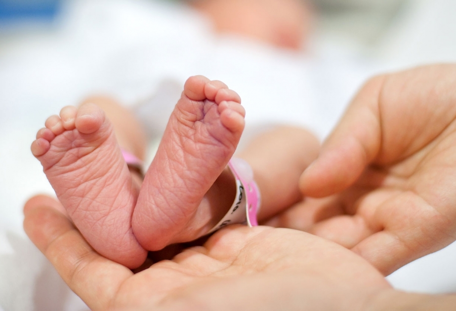 ВОЗ: 20 процентов всех младенцев появляются на свет с помощью кесарева сечения