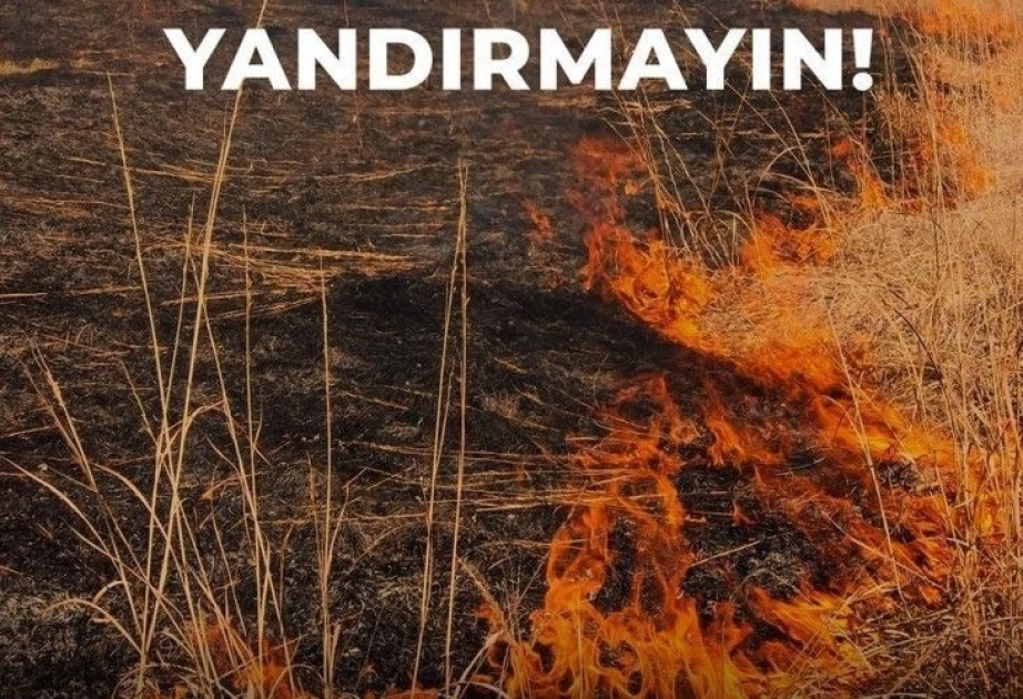 Kənd Təsərrüfatı Nazirliyi və Aqrar Sığorta Fondu əkin sahələrindəki yanğınlarla bağlı fermerlərə müraciət edib