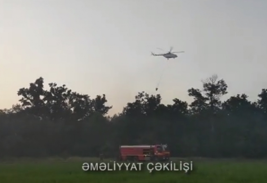 FHN: Nabran qəsəbəsi yaxınlığında meşə və meşəətrafı zonada baş vermiş yanğın söndürülüb VİDEO
