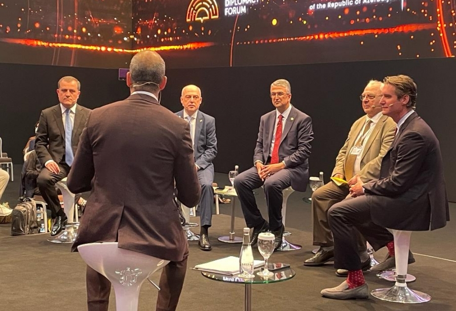 Azərbaycan xarici işlər naziri Antalya Diplomatiya Forumu çərçivəsində keçirilən paneldə çıxış edib