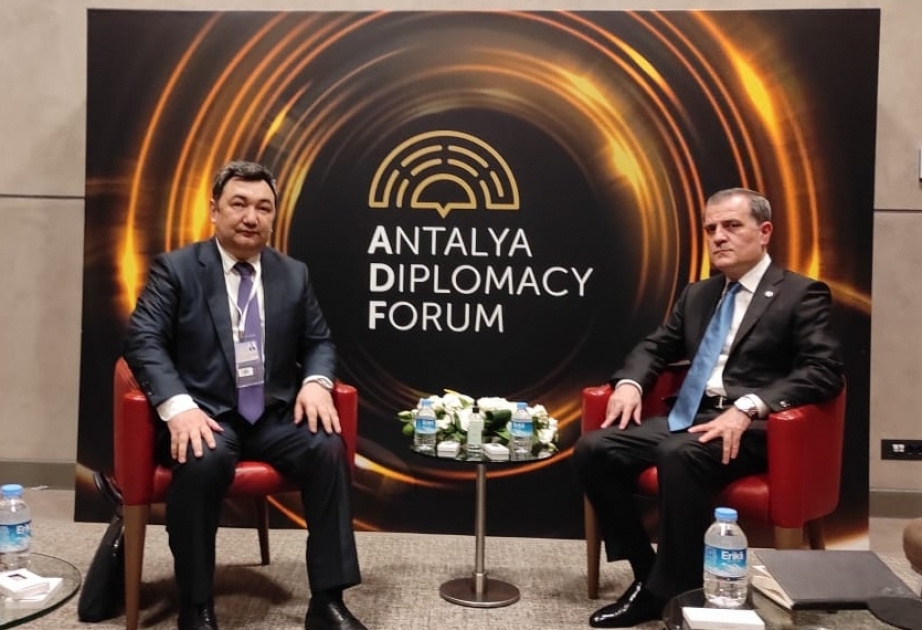 Azərbaycanın xarici işlər naziri Antalyada Beynəlxalq Türk Akademiyasının prezidenti ilə görüşüb