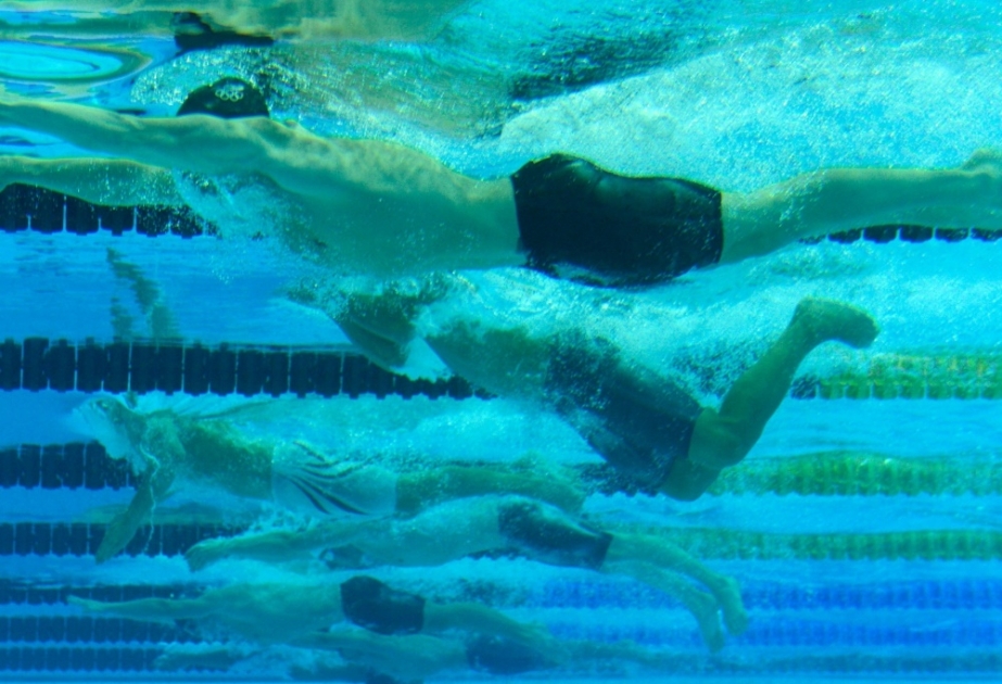 Para-Schwimmer Engel knackt Weltrekord über 50 m Brust