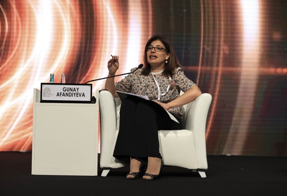 President of the International Turkic Culture and Heritage Foundation attends panel conference at Antalya Diplomacy Forum