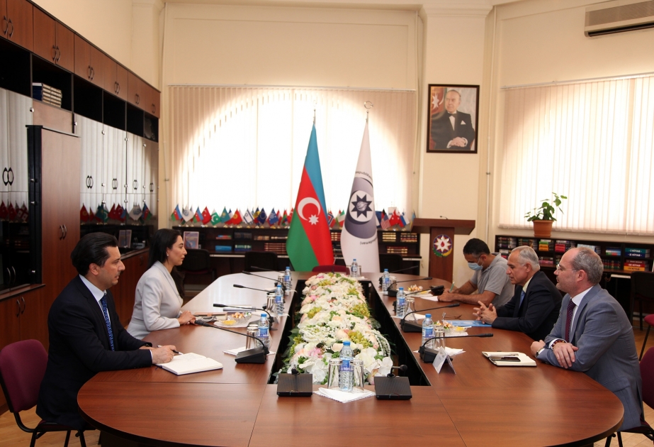 Ombudsman BMT-nin Azərbaycandakı rezident əlaqələndiricisi ilə görüşüb