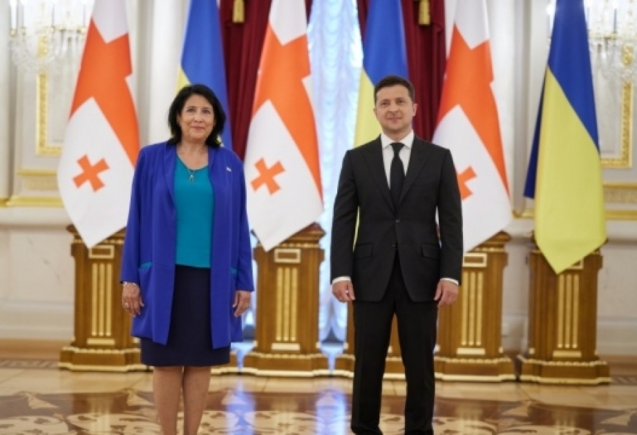 Vladimir Zelenski: Ukrayna və Gürcüstan enerji təhlükəsizliyi məsələlərini həll etməlidir