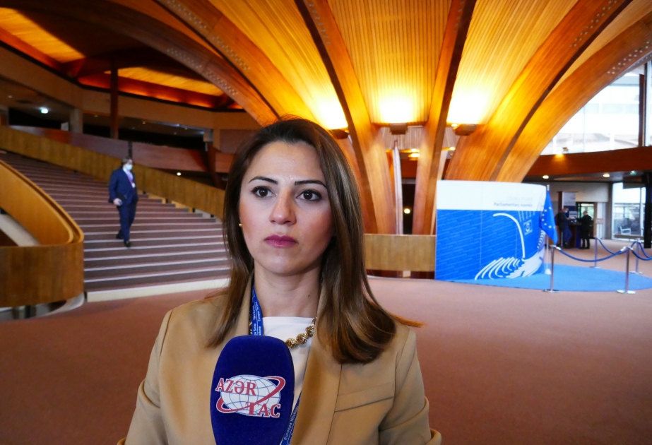 Sevinc Fətəliyeva: Həqiqətlərin düzgün və şəffaf çatdırılması üçün jurnalistlərə təhlükəsiz şərait yaradılmalıdır VİDEO