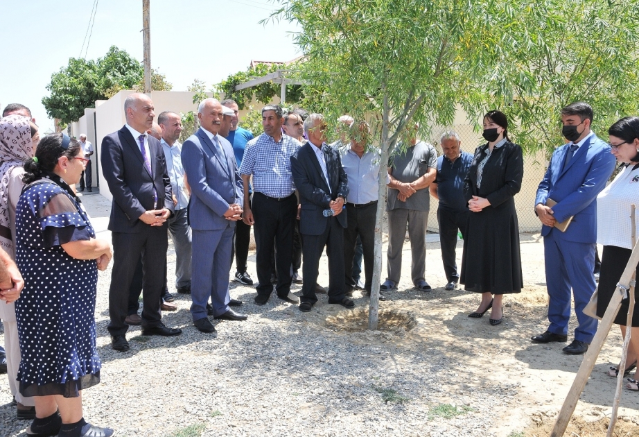 Saray qəsəbəsində yeddi küçə asfaltlanıb
