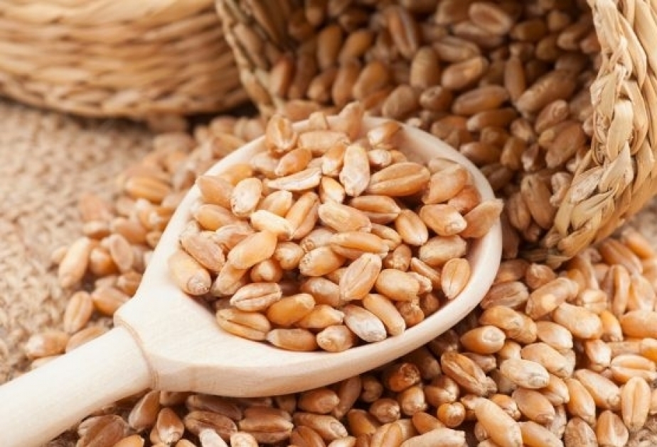 小麦进口量增加
