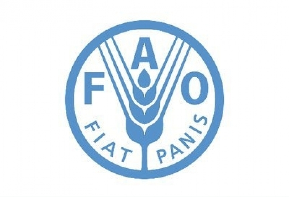 EU and FAO project promotes local food production in Azerbaijan