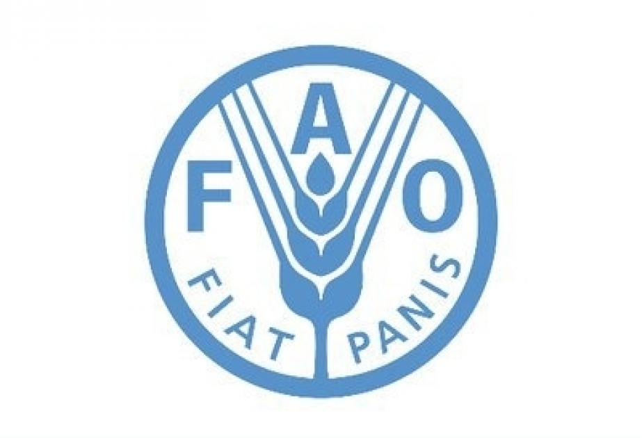 Un proyecto de la UE y la FAO promueve la producción local de alimentos en Azerbaiyán