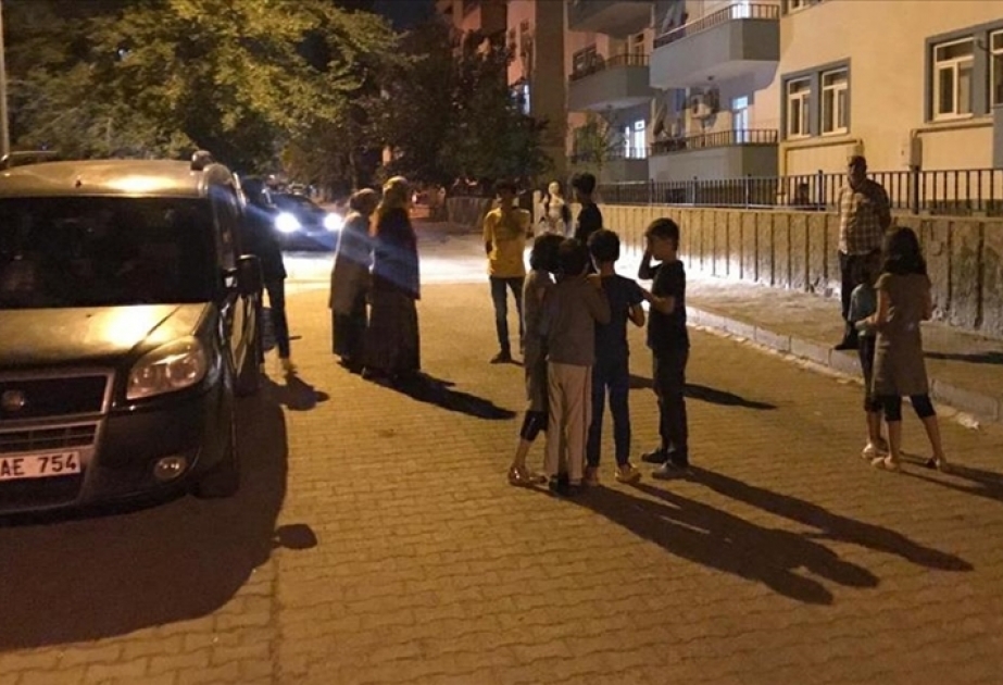 Türkiyənin Bingöl vilayətində baş verən zəlzələ dağıntı və tələfat törətməyib