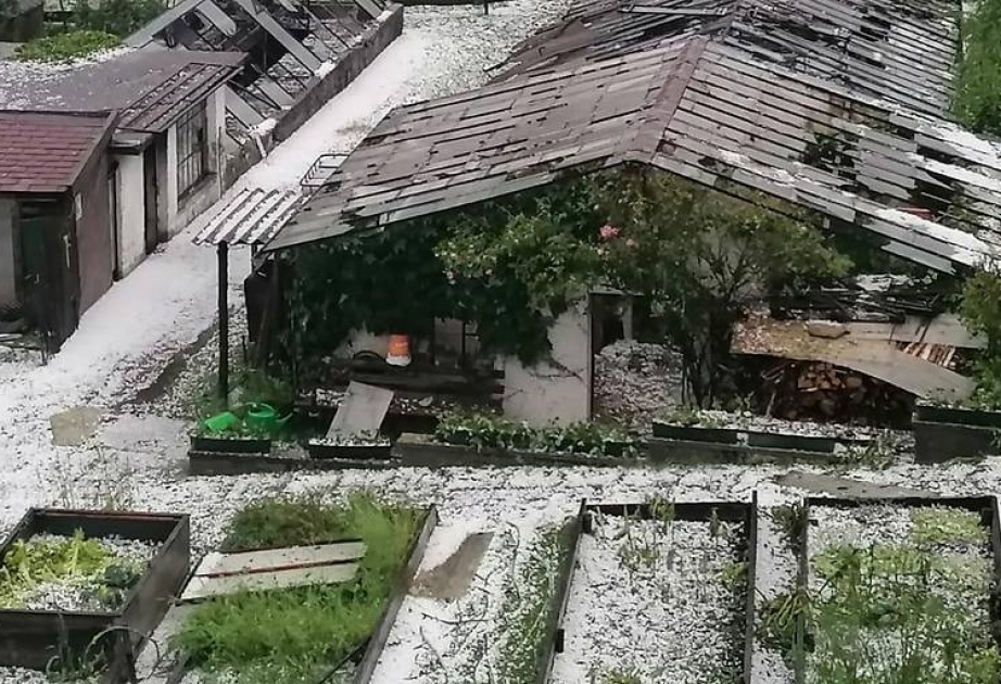 Dolu Avstriyada kənd təsərrüfatına və fərdi evlərə 50 milyon avro zərər vurub