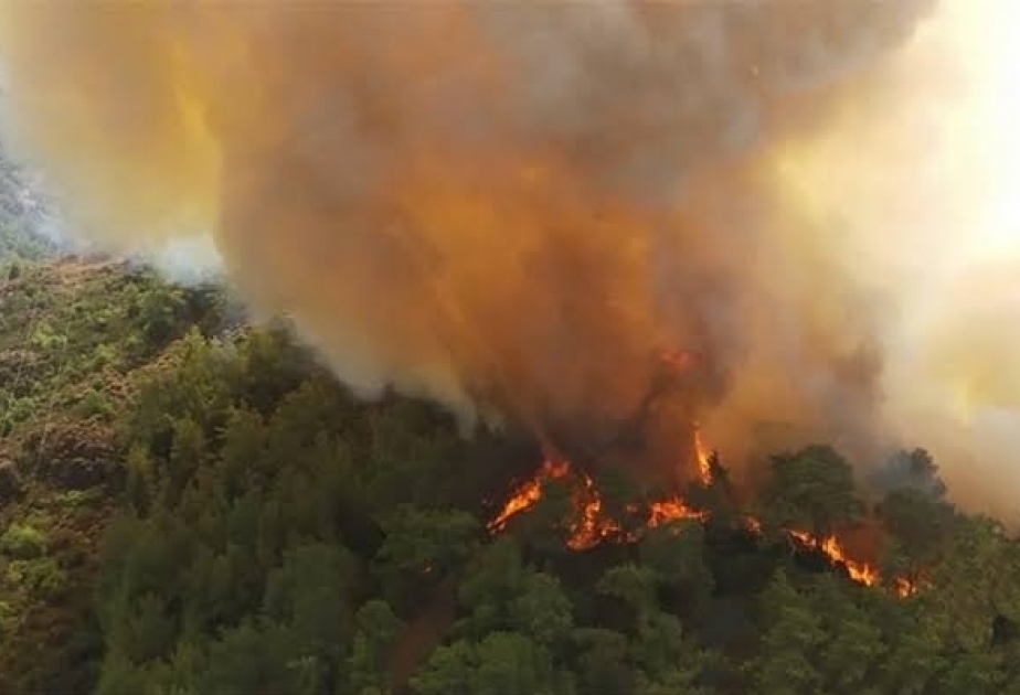 Forest fires erupt in southwestern Turkey