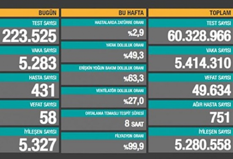 Türkiyədə koronavirusdan həyatını itirənlərin sayı 49 mini ötüb