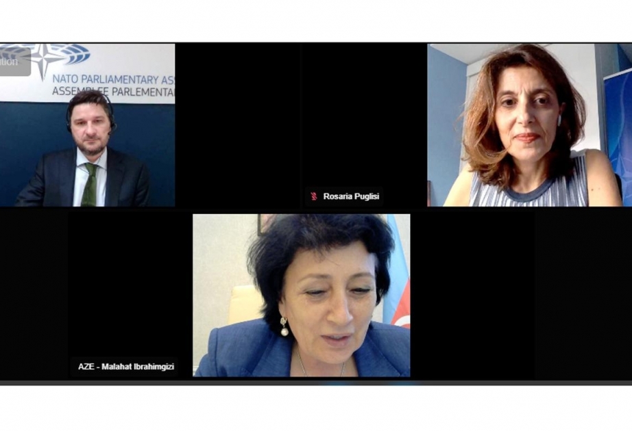 NATO PA-nın Rouz-Rout seminarı keçirilib