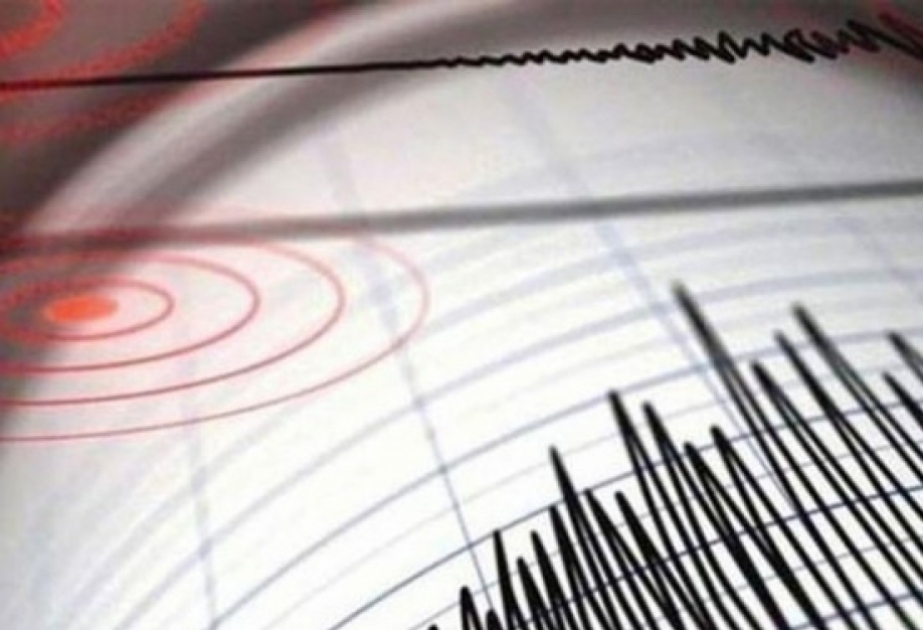 Erdbeben der Stärke 4.6 in Argentinien