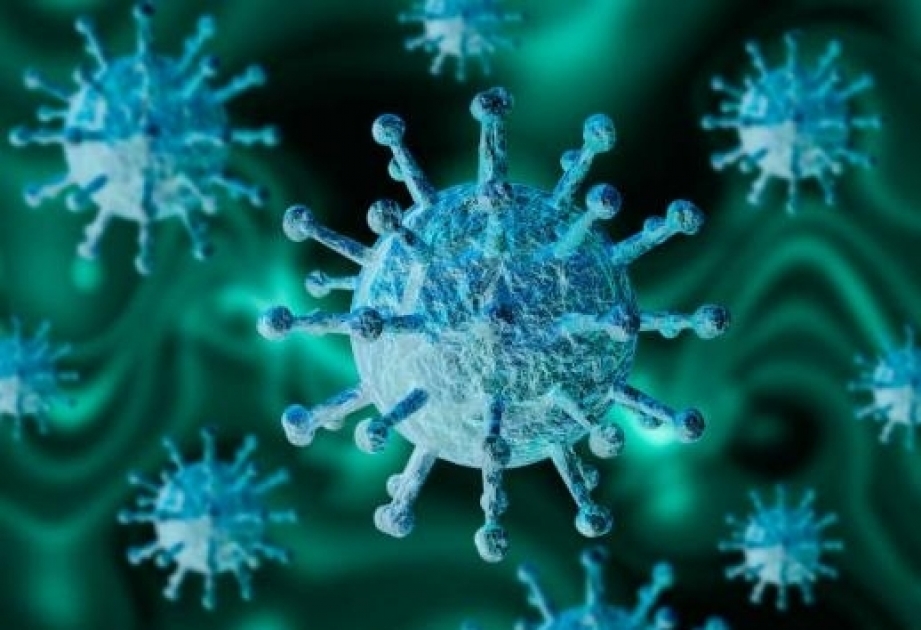 Факты ввоза коронавируса из зарубежных стран составляют 0,3 процента