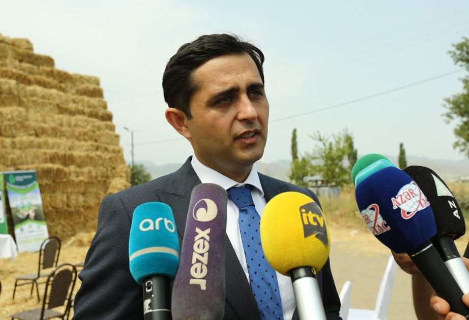 Fuad Sadıqov: Yanğından əziyyət çəkən sığortalı təsərrüfatlara ödənişlər ediləcək