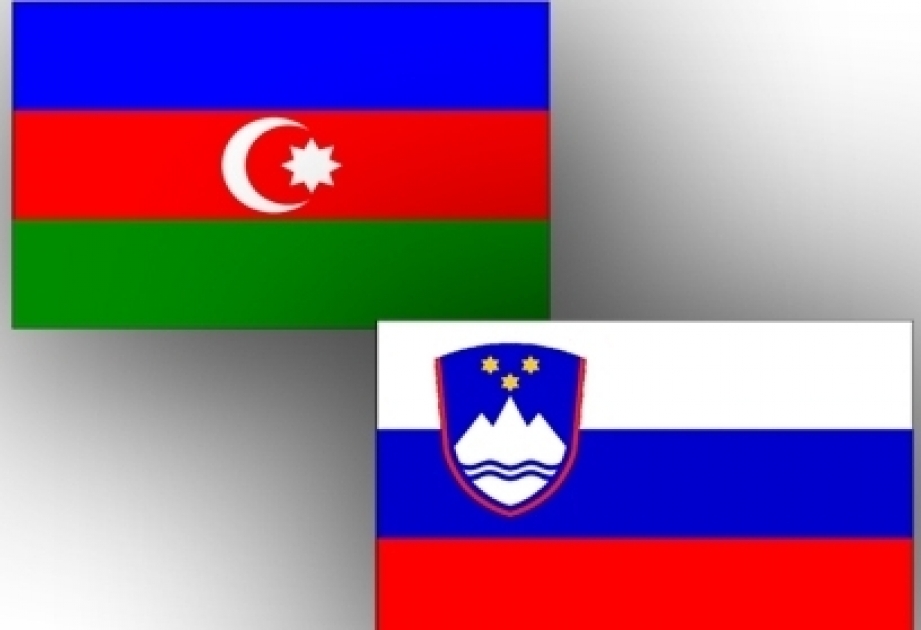 Состоялись политические консультации между министерствами иностранных дел Азербайджана и Словении