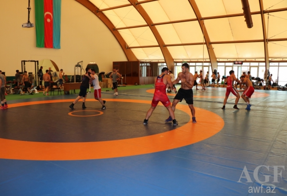 Yunan-Roma güləşi üzrə millimizin Avropa çempionatı üçün heyəti açıqlanıb