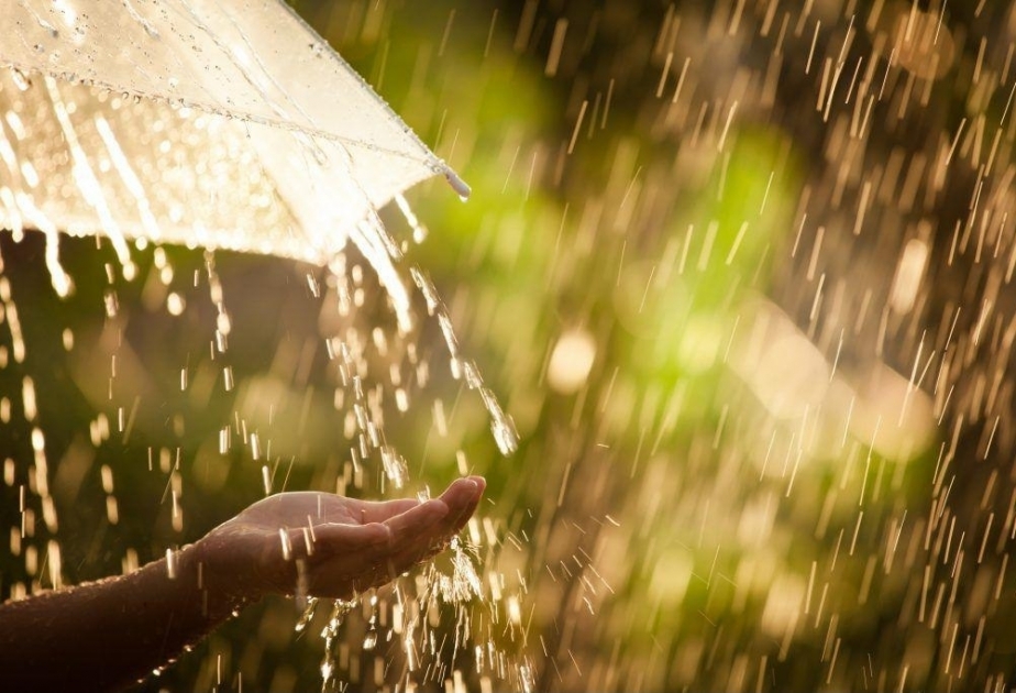 تقرير الأرصاد الجوية لظروف الطقس المتوقعة للغد