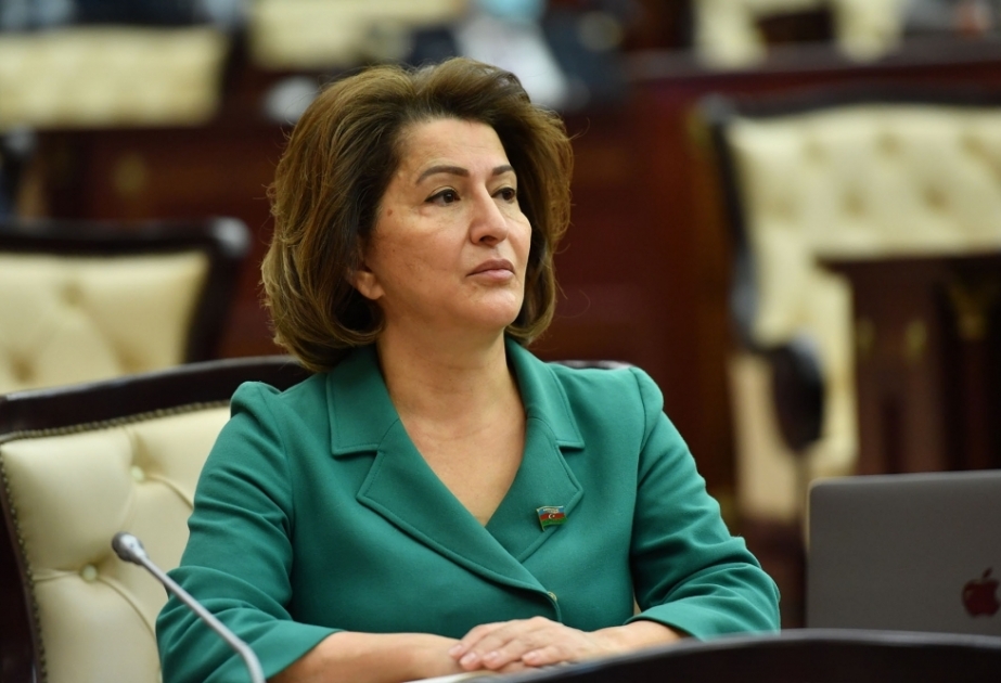 Tamam Cəfərova: Mina xəritələrinin verilməsi infrastruktur işlərinin gedişinə də müsbət təsir göstərəcək