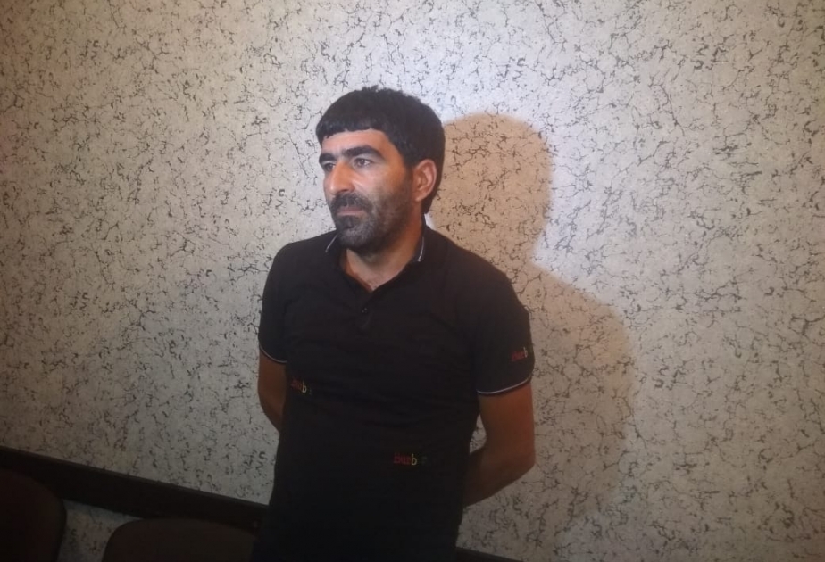 Salyanda 143 baş qoyun oğurlayan şəxs saxlanılıb VİDEO