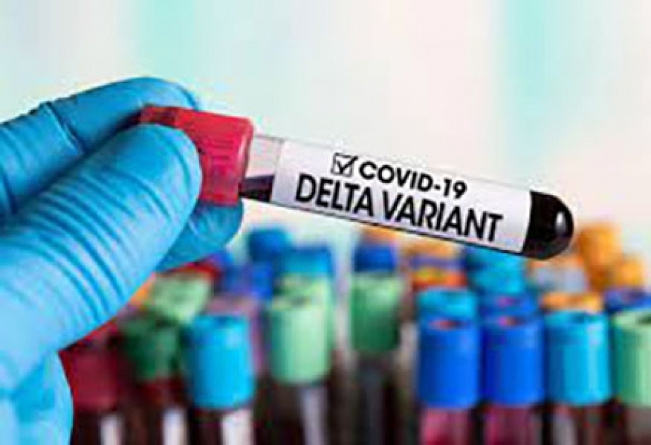 Professor: “delta” və “delta plus” ştamları eyni mutantlardır