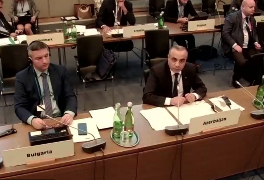 ATƏT Parlament Assambleyasında Azərbaycandan Türkiyəyə dəstək