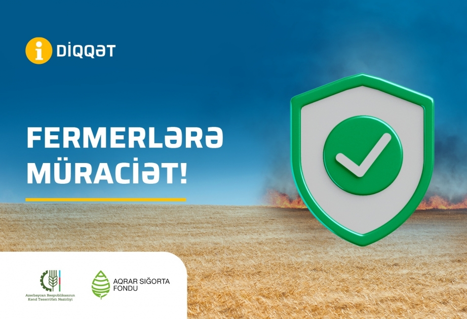 Taxıl sahəsinin yanğından sığortalanması tarifləri açıqlanıb