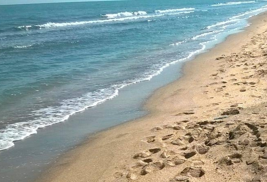 تقرير الأرصاد الجوية لظروف الطقس المتوقعة للغد