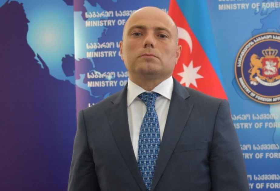 Azərbaycanın “Mədəniyyət naminə sülh” qlobal kampaniya layihəsi Gürcüstan tərəfinə təqdim edilib