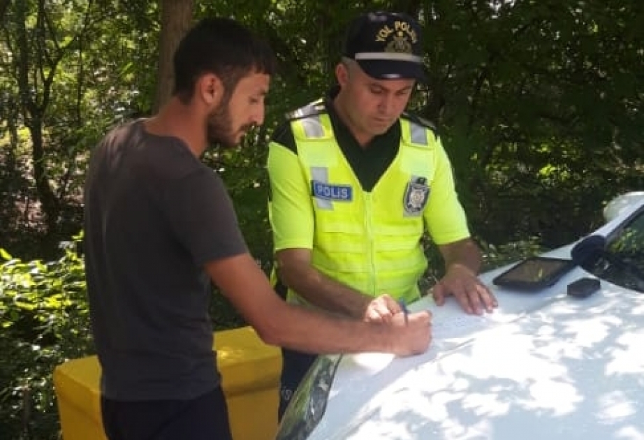 Daşkəsəndə “Təmiz hava” aylığı ilə əlaqədar tədbirlər davam etdirilir