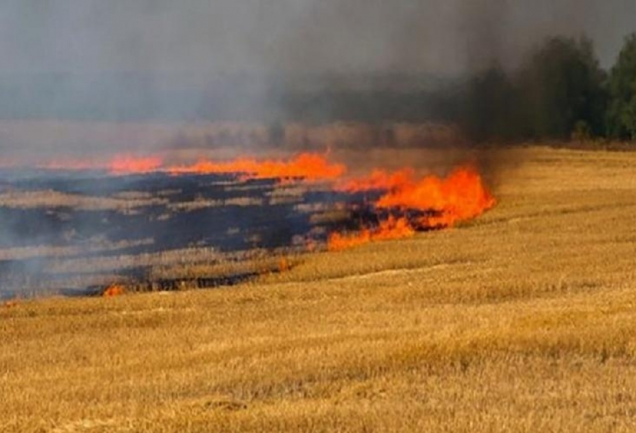 Ermənistan ilə dövlət sərhədi zolağında baş verən yanğın söndürülüb