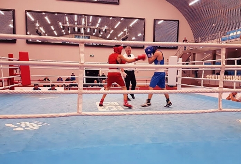 Azerbaijani boxer into semifinal of European Championships