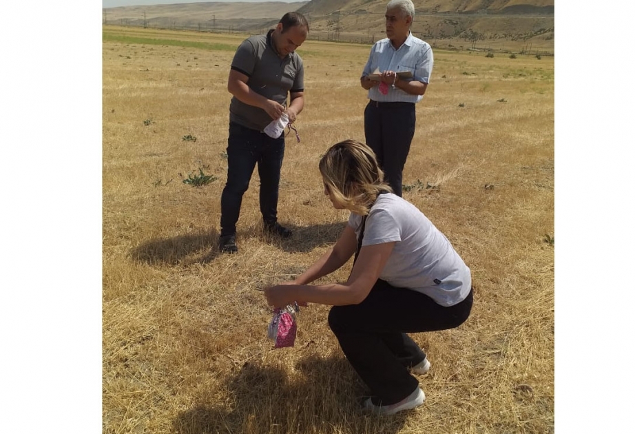 Coğrafiyaçılar təbii mühitin bioloji aktivliyini araşdırıblar