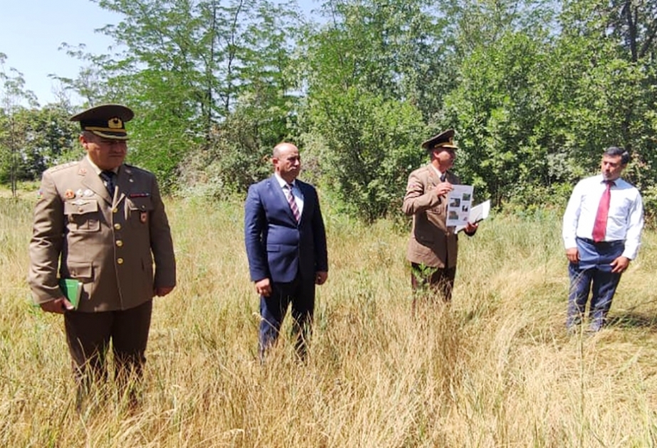 Meşələrin və meşəətrafı sahələrin, yaşıllıq zolaqlarının yanğın təhlükəsizliyi təmin olunur