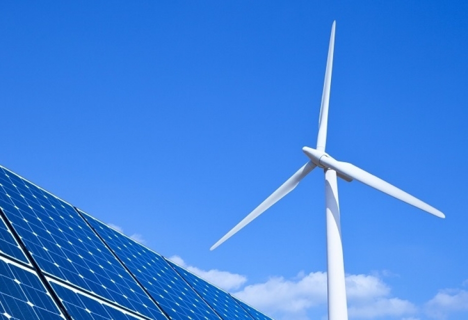 Elektrik enerjisi istehsalında bərpa olunan enerji mənbələrindən istifadə sahəsində dövlət tənzimlənməsi hansı prinsiplərə əsaslanır?