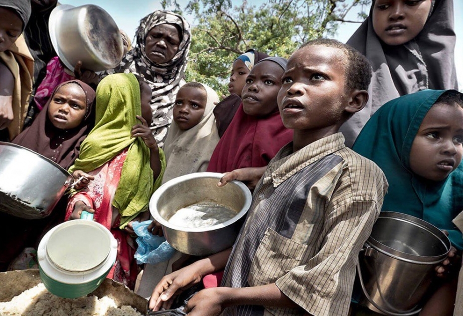 ООН: Пандемия обострила проблему продовольственной безопасности