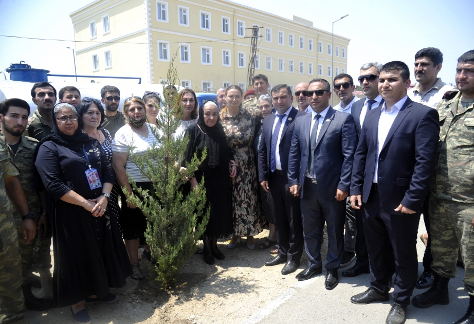 Bakının Xətai rayonunda general-mayor Polad Həşimovun xatirəsinə həsr edilmiş ağacəkmə aksiyası keçirilib