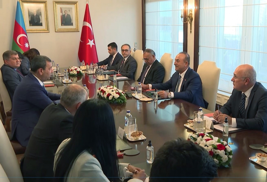 Azərbaycanın parlament nümayəndə heyəti Türkiyənin xarici işlər naziri ilə görüşüb VİDEO