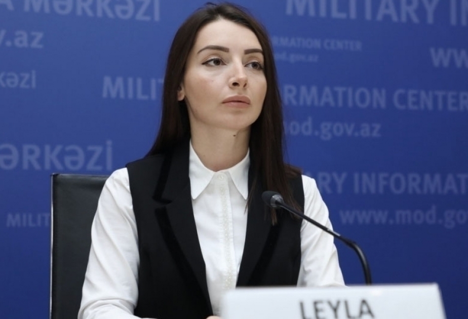 Лейла Абдуллаева: Какой-либо визит на территорию Азербайджана в рамках его международных границ не может быть даже комментирован со стороны Армении